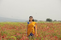 Pandi Oli Perukki Nilayam Movie Stills